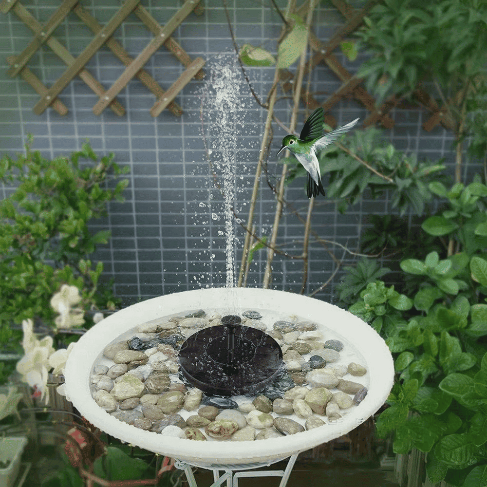 Solar Fountain Pump in birdbath creating decorative water spray in garden setup with plants
