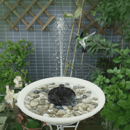 Solar Fountain Pump in birdbath creating decorative water spray in garden setup with plants